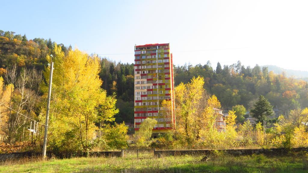 Apartment Erekle Боржомі Екстер'єр фото