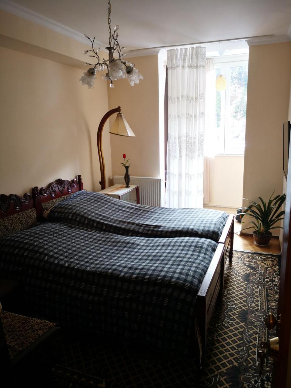Apartment Erekle Боржомі Екстер'єр фото
